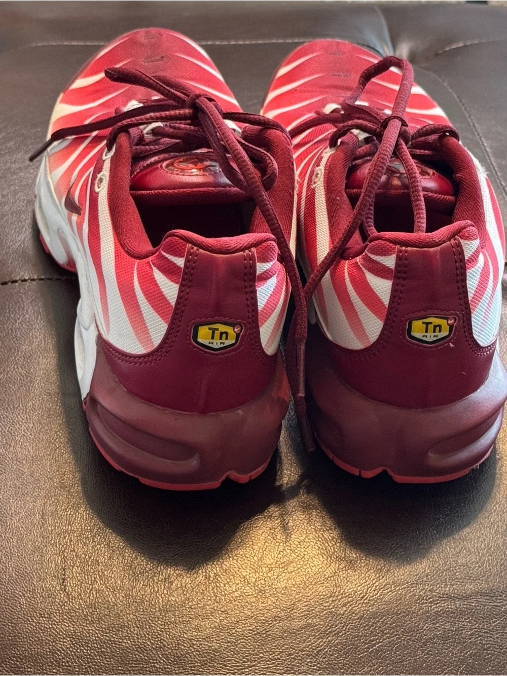Nike Air Max Plus “After the Bite” Red and Burgundy Sneakers 40.5 EUR/US 7.5